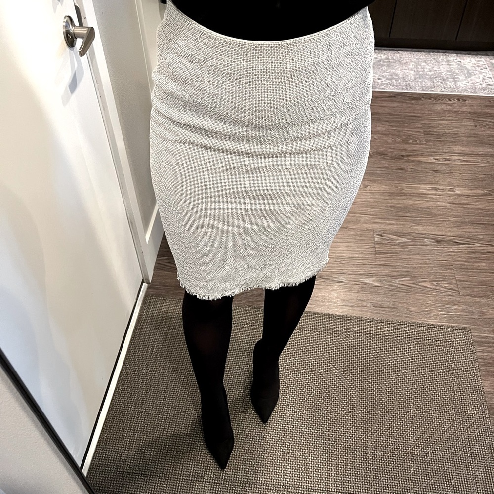 Ann Taylor Skirt